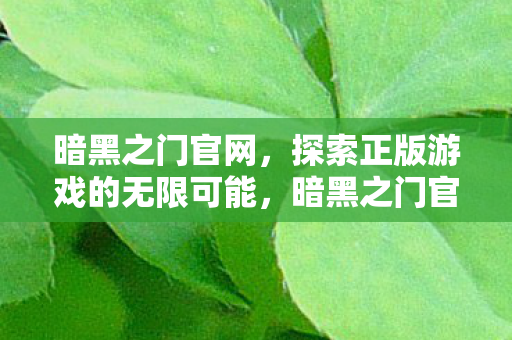暗黑之门官网，探索正版游戏的无限可能，暗黑之门官网，探索正版游戏的无限可能
