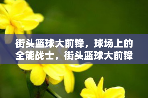 街头篮球大前锋，球场上的全能战士，街头篮球大前锋，球场上的全能战士
