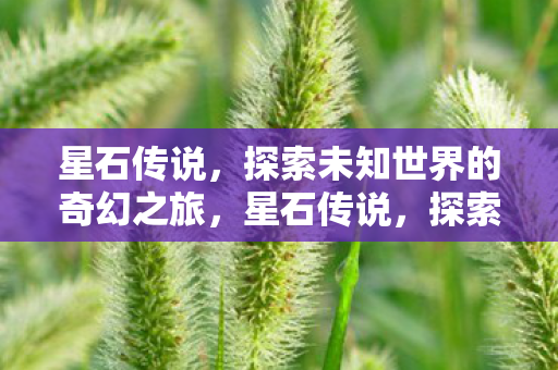 星石传说,探索未知世界的奇幻之旅,星石传说,探索未知世界的奇幻之旅 星石传说,探索未知世界的奇幻之旅,星石传说,探索未知世界的奇幻之旅