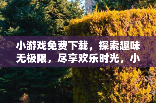 小游戏免费下载，探索趣味无极限，尽享欢乐时光，小游戏免费下载，探索趣味无极限，尽享欢乐时光