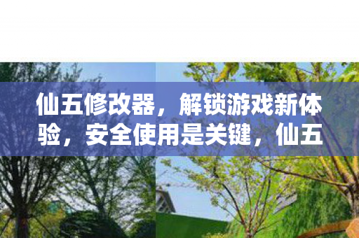 仙五修改器，解锁游戏新体验，安全使用是关键，仙五修改器，解锁游戏新体验，安全使用是关键