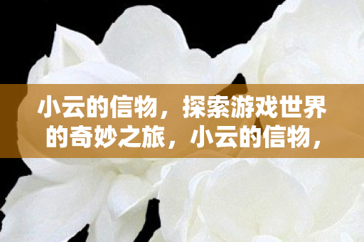 小云的信物,探索游戏世界的奇妙之旅,小云的信物,开启游戏世界的奇妙冒险之旅 小云的信物,探索游戏世界的奇妙之旅,小云的信物,开启游戏世界的奇妙冒险之旅
