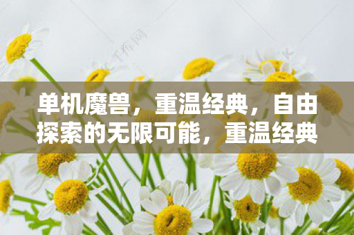 单机魔兽，重温经典，自由探索的无限可能，重温经典，探索无限可能，单机魔兽