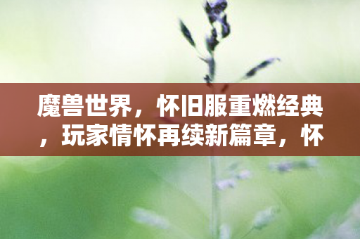 魔兽世界，怀旧服重燃经典，玩家情怀再续新篇章，怀旧服重燃经典，魔兽世界玩家情怀再续新篇章