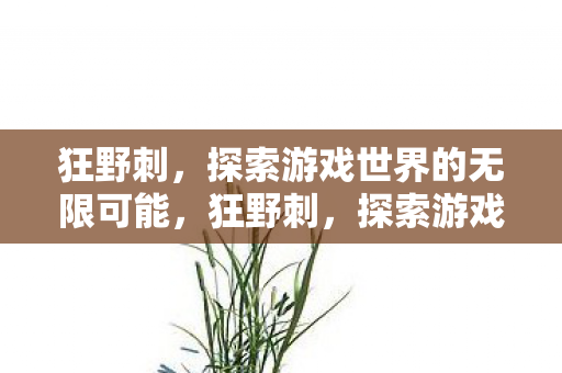 狂野刺，探索游戏世界的无限可能，狂野刺，探索游戏世界的无限可能
