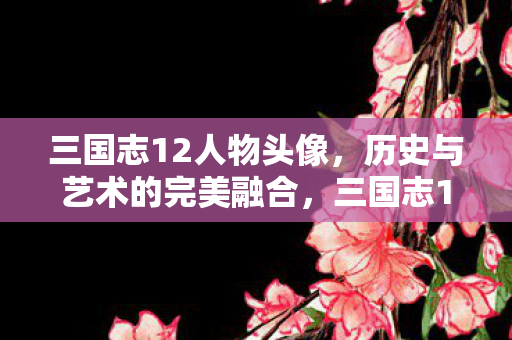 三国志12人物头像，历史与艺术的完美融合，三国志12人物头像，历史与艺术的完美碰撞