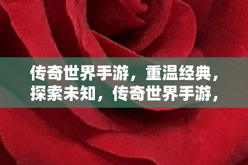 传奇世界手游图片