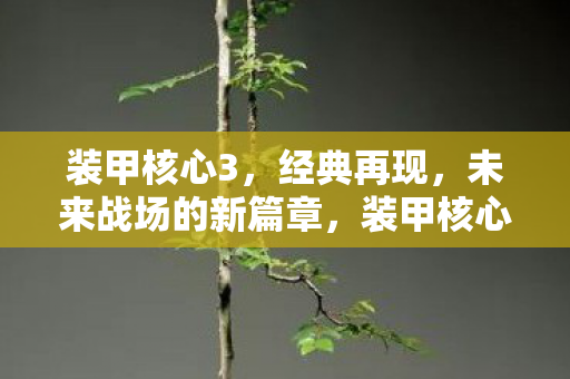装甲核心3，经典再现，未来战场的新篇章，装甲核心3，经典再现，未来战场新篇章开启