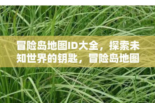 解锁未知世界的神秘钥匙图片