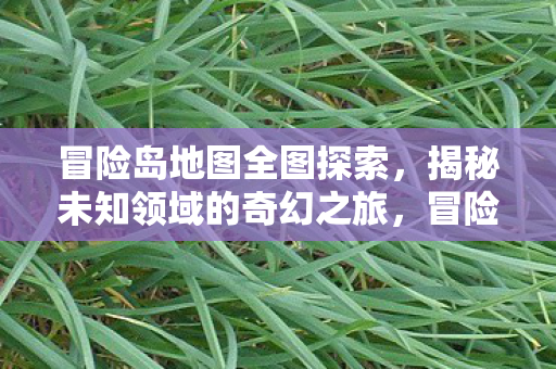 冒险岛地图全图探索，揭秘未知领域的奇幻之旅，冒险岛地图全探索，揭秘未知领域的奇幻之旅