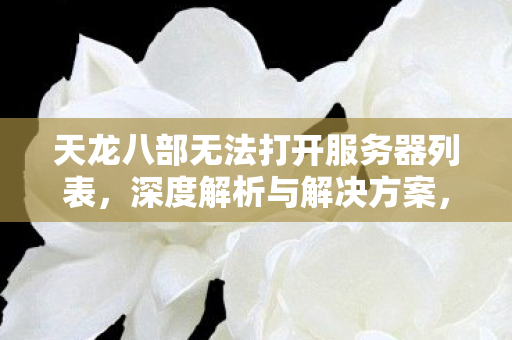 天龙八部无法打开服务器列表，深度解析与解决方案，天龙八部无法打开服务器列表，深度解析与解决方案