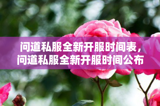 问道私服全新开服时间表，问道私服全新开服时间公布
