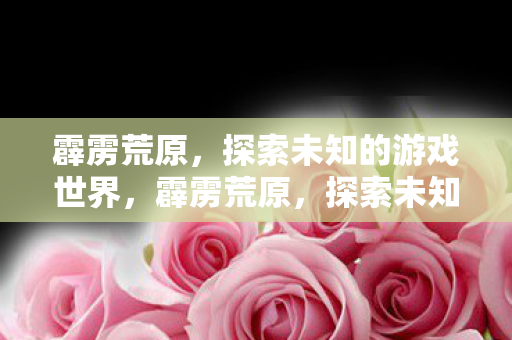 霹雳荒原，探索未知的游戏世界，霹雳荒原，探索未知的游戏世界之旅