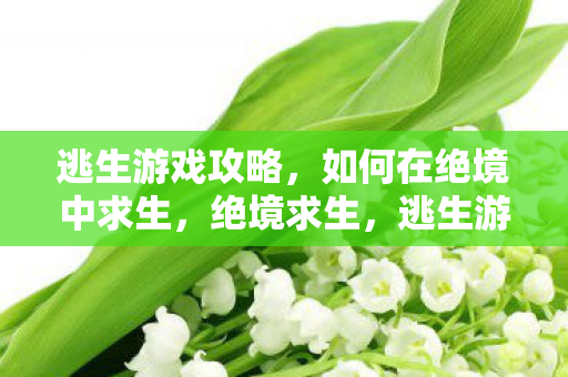 逃生游戏攻略，如何在绝境中求生，绝境求生，逃生游戏攻略全解析