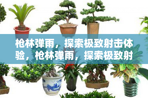 枪林弹雨，探索极致射击体验，枪林弹雨，探索极致射击体验