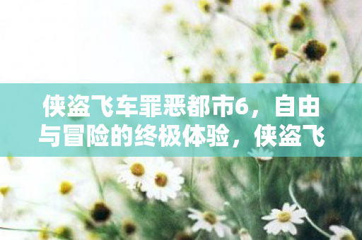 侠盗飞车罪恶都市6,自由与冒险的终极体验,侠盗飞车罪恶都市6,自由冒险的终极体验 侠盗飞车罪恶都市6,自由与冒险的终极体验,侠盗飞车罪恶都市6,自由冒险的终极体验