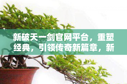新破天一剑官网平台图片