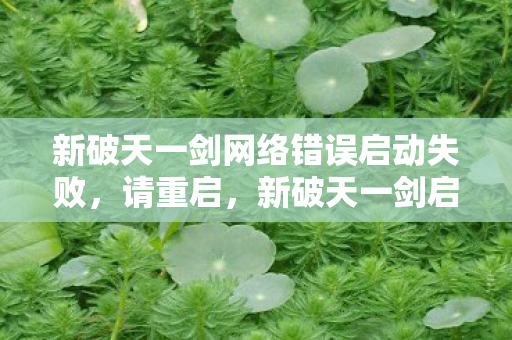 新破天一剑网络错误启动失败，请重启，新破天一剑启动失败，需重启解决网络问题