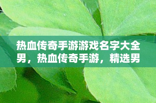 热血传奇手游游戏名字大全男图片