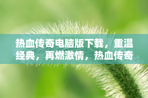 热血传奇电脑版下载图片