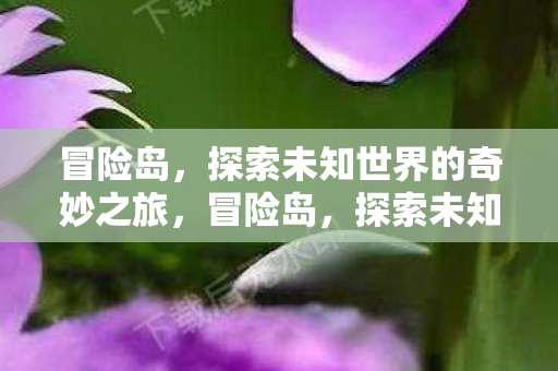 冒险岛，探索未知世界的奇妙之旅，冒险岛，探索未知世界的奇妙之旅