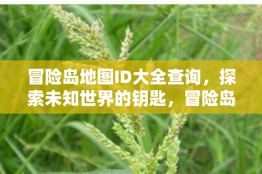 冒险岛地图ID大全查询，探索未知世界的钥匙，冒险岛地图ID全解析，解锁未知世界的神秘钥匙
