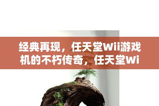 经典再现,任天堂Wii游戏机的不朽传奇,任天堂Wii游戏机,不朽传奇的经典再现 经典再现,任天堂Wii游戏机的不朽传奇,任天堂Wii游戏机,不朽传奇的经典再现