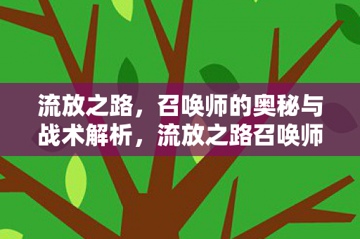 流放之路，召唤师的奥秘与战术解析，流放之路召唤师奥秘与战术深度解析