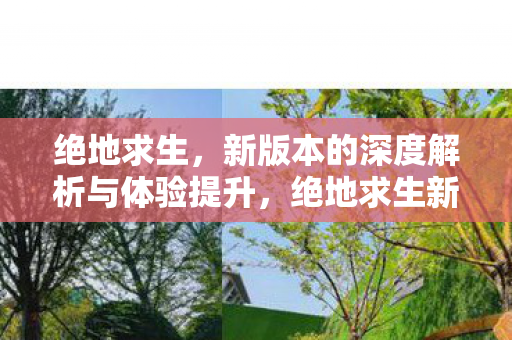 绝地求生，新版本的深度解析与体验提升，绝地求生新版本，深度解析与体验提升