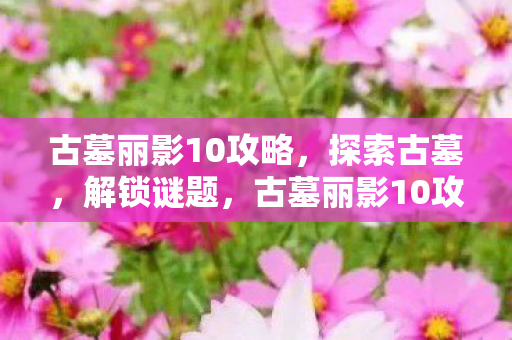 古墓丽影10攻略，探索古墓，解锁谜题，古墓丽影10攻略，探索古墓，解锁谜题全解析