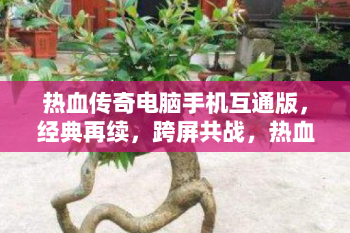 热血传奇电脑手机互通版，经典再续，跨屏共战，热血传奇互通版，经典再续，跨屏共战