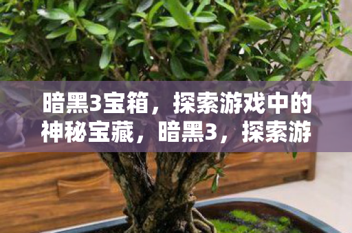 暗黑3宝箱,探索游戏中的神秘宝藏,暗黑3,探索游戏中的神秘宝箱宝藏 暗黑3宝箱,探索游戏中的神秘宝藏,暗黑3,探索游戏中的神秘宝箱宝藏