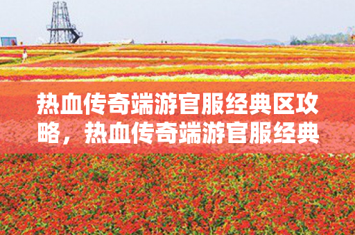 热血传奇端游官服经典区攻略图片