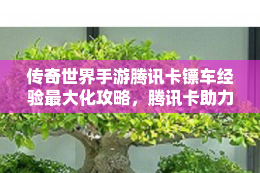 腾讯卡助力传奇世界手游镖车经验最大化攻略图片