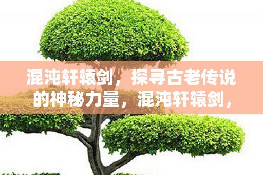 混沌轩辕剑，探寻古老传说的神秘力量，混沌轩辕剑，探寻古老传说的神秘力量