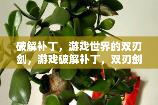 破解补丁，游戏世界的双刃剑，游戏破解补丁，双刃剑下的双刃剑