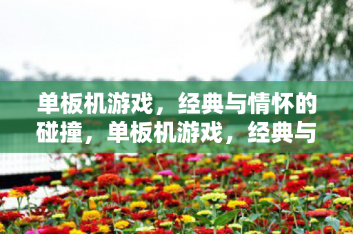 单板机游戏，经典与情怀的碰撞，单板机游戏，经典与情怀的碰撞