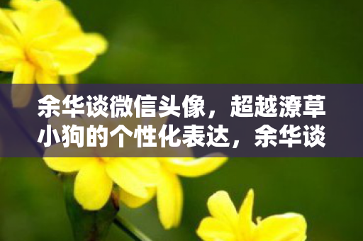余华谈微信头像，超越潦草小狗的个性化表达，余华谈微信头像，超越潦草小狗的个性化表达