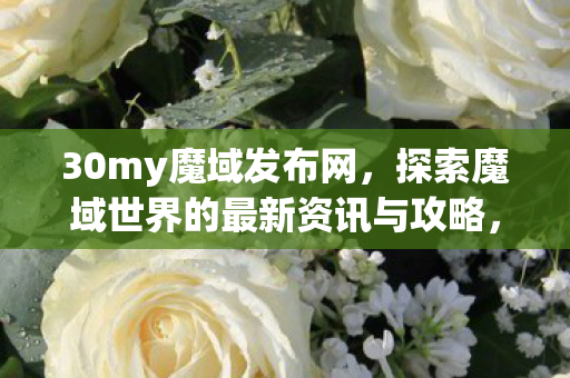 探索魔域世界的最新资讯与攻略图片