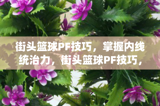 街头篮球PF技巧，掌握内线统治力，街头篮球PF技巧，掌握内线统治力