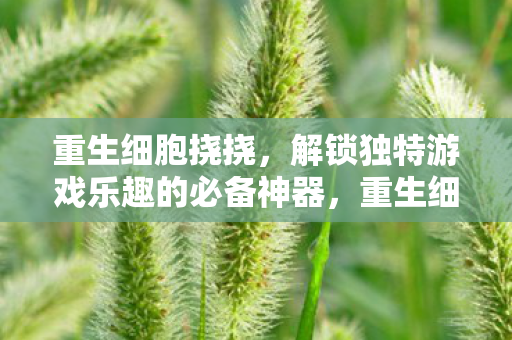 重生细胞挠挠，解锁独特游戏乐趣的必备神器，重生细胞挠挠，解锁独特游戏乐趣的必备神器