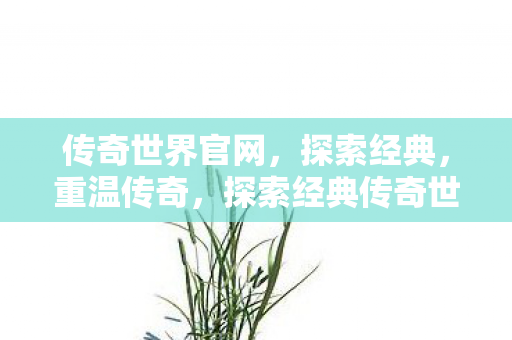 传奇世界官网，探索经典，重温传奇，探索经典传奇世界，重温传奇之旅