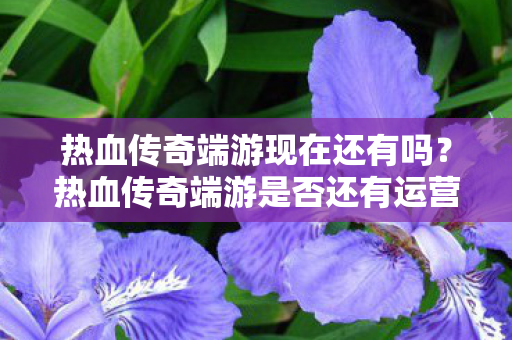 热血传奇端游现在还有吗?热血传奇端游是否还有运营? 热血传奇端游现在还有吗?热血传奇端游是否还有运营?