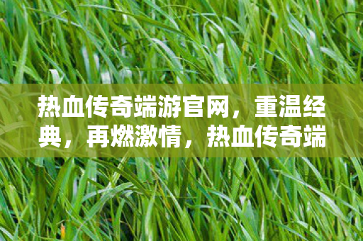 热血传奇端游官网图片