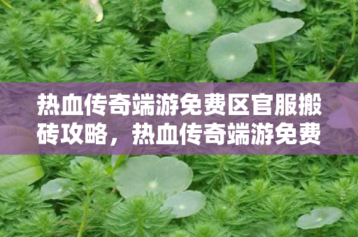 热血传奇端游免费区官服搬砖攻略图片
