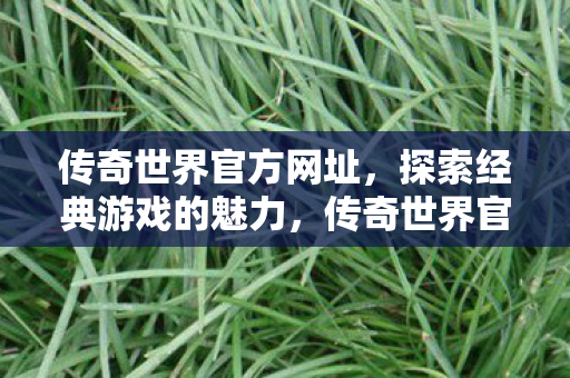 传奇世界官方网址，探索经典游戏的魅力，传奇世界官方网址，探索经典游戏的魅力