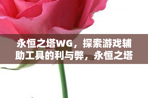 永恒之塔WG，探索游戏辅助工具的利与弊，永恒之塔WG，游戏辅助工具的利与弊分析