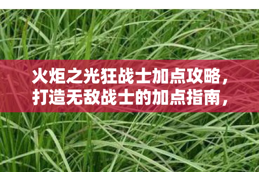 火炬之光狂战士加点攻略，打造无敌战士的加点指南，打造无敌战士，火炬之光狂战士加点攻略