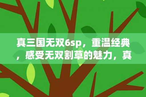 真三国无双6sp，重温经典，感受无双割草的魅力，真三国无双6sp，重温经典，感受无双割草魅力