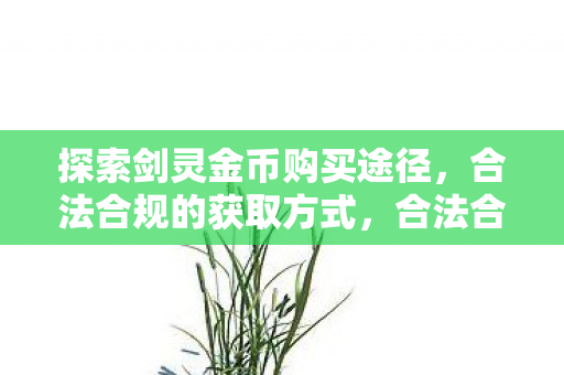探索剑灵金币购买途径，合法合规的获取方式，合法合规获取剑灵金币的购买途径